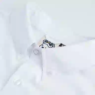 HEA