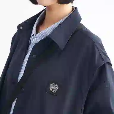 HEA
