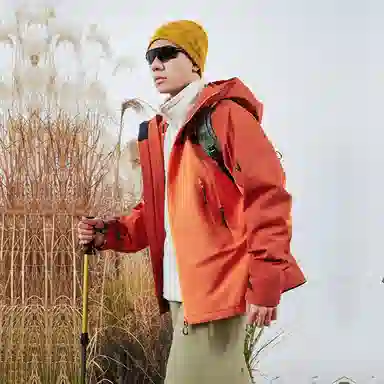 VECTOR