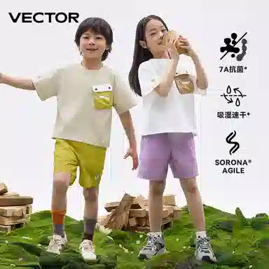 VECTORT