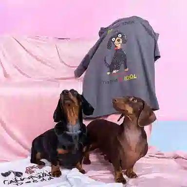 CANOTWAIT_ X ROSY DOEDIANidolT