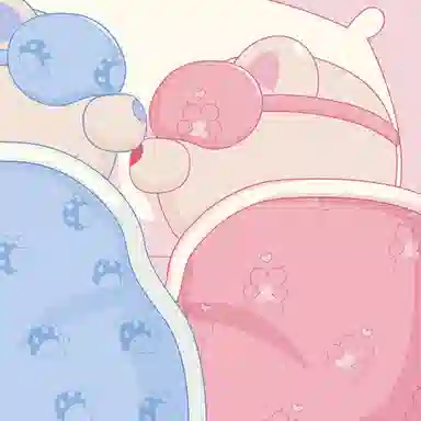 dido Y20 X Boring Bear -