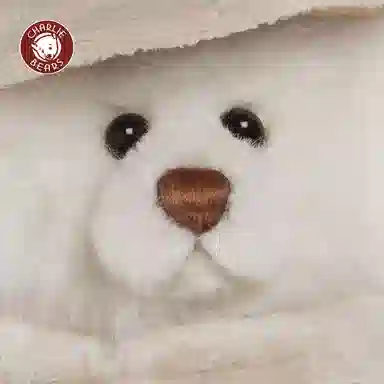 Charlie Bears 23cm28cm30cm