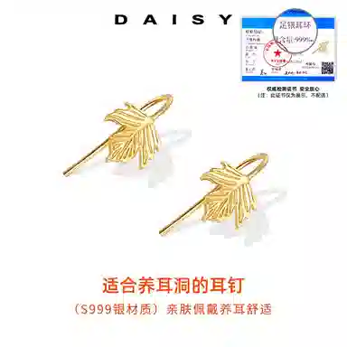 S999 Daisy dream 2025