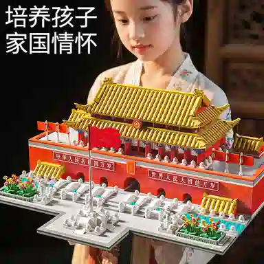 2617pcs 55508A