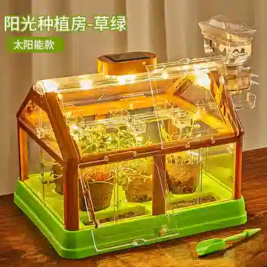 Teacher Lin diy