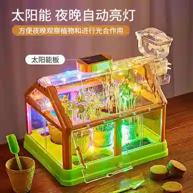 Teacher Lin diy