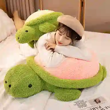 Teacher Lin 35cm50cm60cm80cm