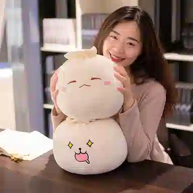 Teacher Lin 20cm25cm