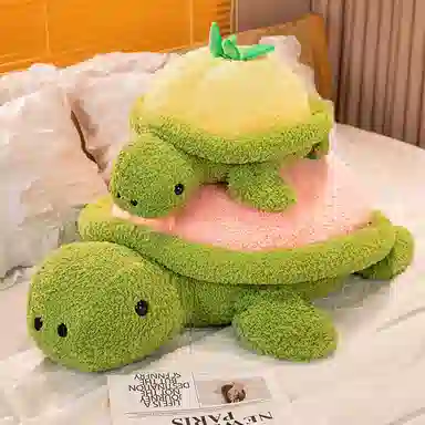 Teacher Lin 35cm50cm60cm80cm