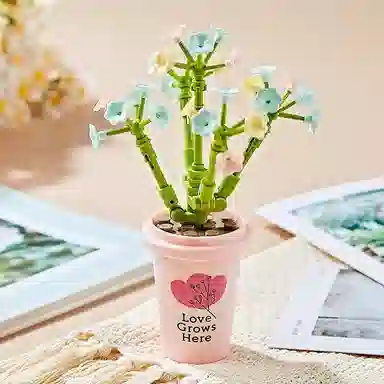 Teacher Lin 57pcs JK2658-5