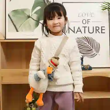 Teacher Lin 25cm35cm