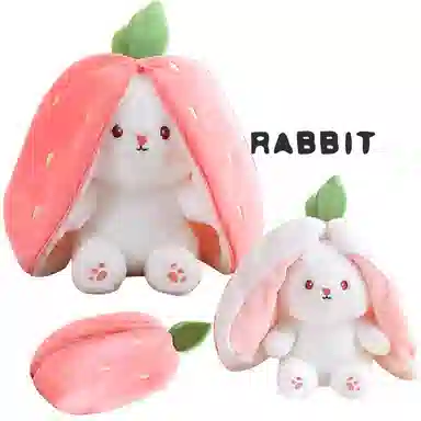 Teacher Lin 18cm25cm35cm