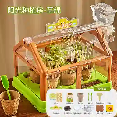Teacher Lin diy