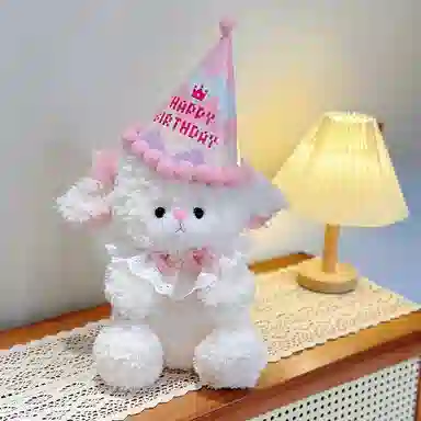 Teacher Lin 22cm25cm