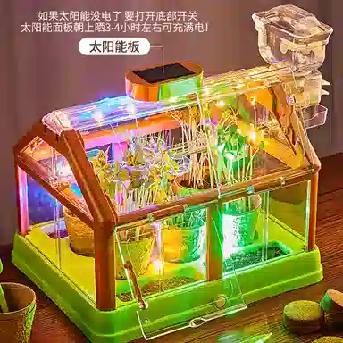 Teacher Lin diy