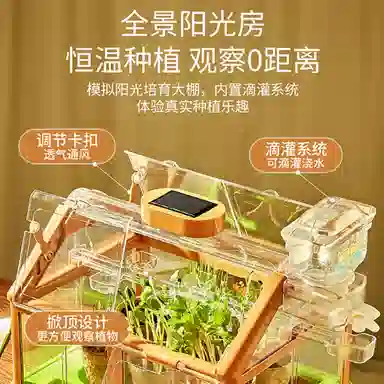 Teacher Lin diy