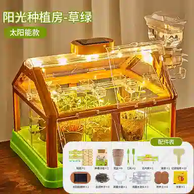 Teacher Lin diy