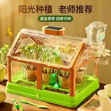 Teacher Lin diy