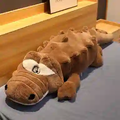 Teacher Lin 90cm110cm145cm170cm190cm230cm300cm