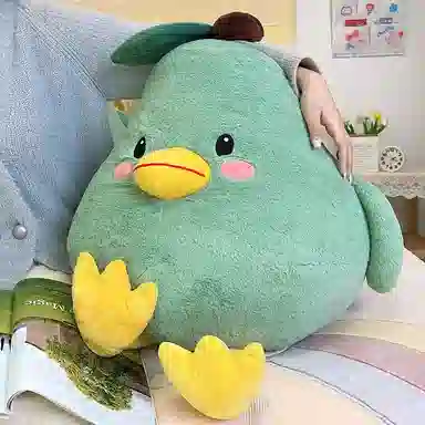 Teacher Lin 40cm60cm80cm