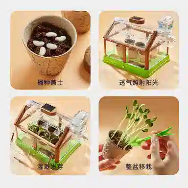 Teacher Lin diy