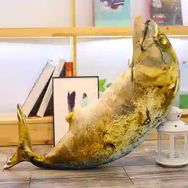 Teacher Lin 20cm60cm70cm80cm