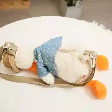 Teacher Lin 25cm35cm