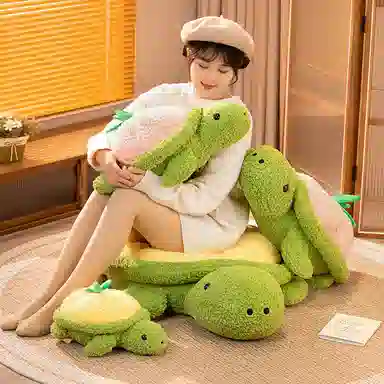 Teacher Lin 35cm50cm60cm80cm