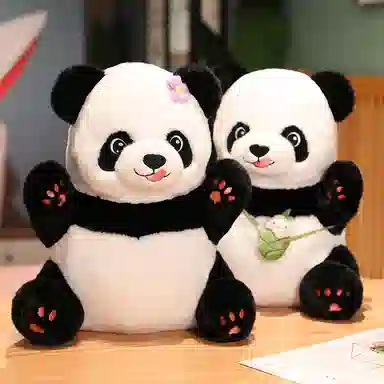 Teacher Lin 15cm25cm35cm50cm