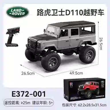 D110 rc
