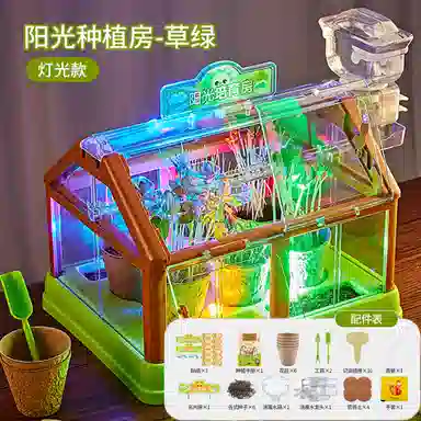 Teacher Lin diy