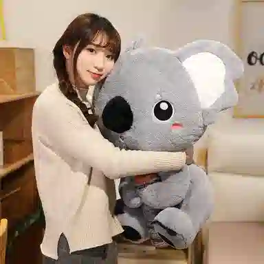 Teacher Lin 30cm45cm70cm