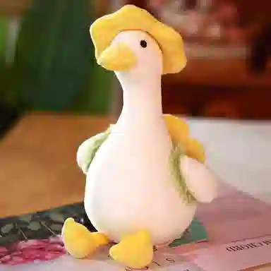 Teacher Lin 35cm40cm55cm