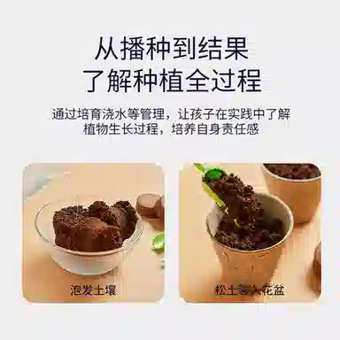 Teacher Lin diy
