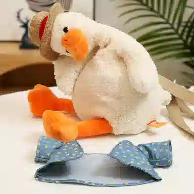 Teacher Lin 25cm35cm