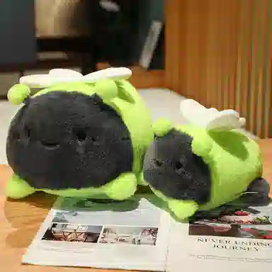 Teacher Lin 20cm30cm45cm