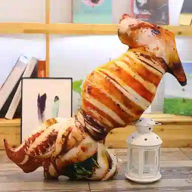 Teacher Lin 20cm60cm70cm80cm