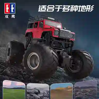 D110 RC