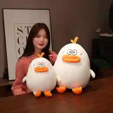 Teacher Lin 30cm40cm