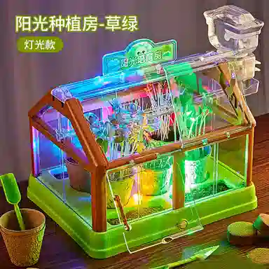 Teacher Lin diy
