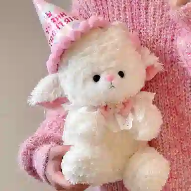 Teacher Lin 22cm25cm