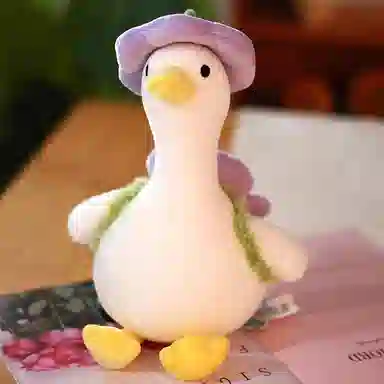 Teacher Lin 35cm40cm55cm