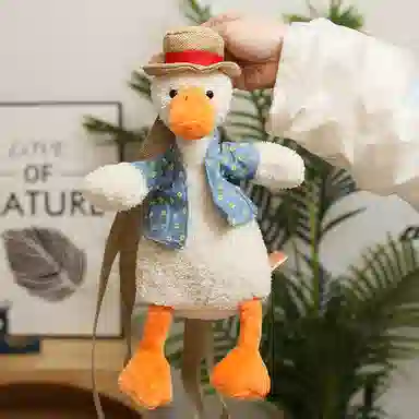 Teacher Lin 25cm35cm