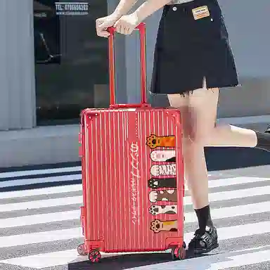 WORM'S HOME ABS 202422