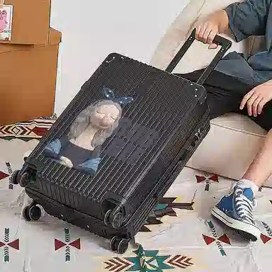 Z 1979 ABS+PC 2024262228