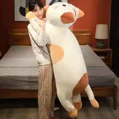 60cm80cm120cm150cm100cm