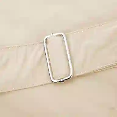 LINE FRIENDS Brown Bear Crossbody Bag