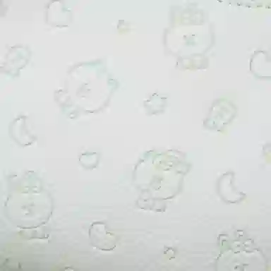 LINE FRIENDS PU