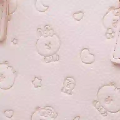 LINE FRIENDS PU